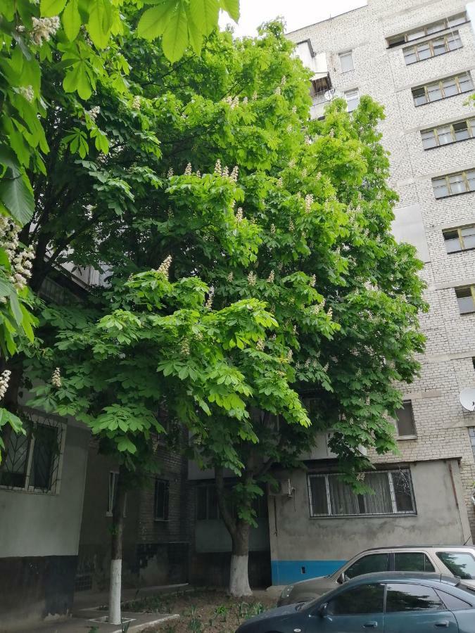 אודסה Apartments near the sea מראה חיצוני תמונה